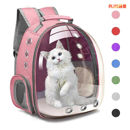 Transparent Cat Backpack
