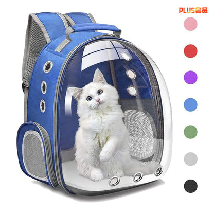 Transparent Cat Backpack