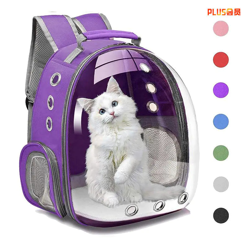 Transparent Cat Backpack