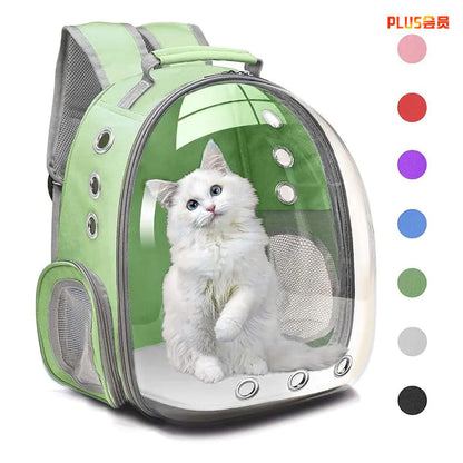 Transparent Cat Backpack