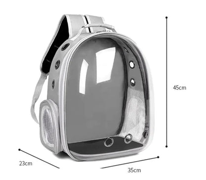 Transparent Cat Backpack