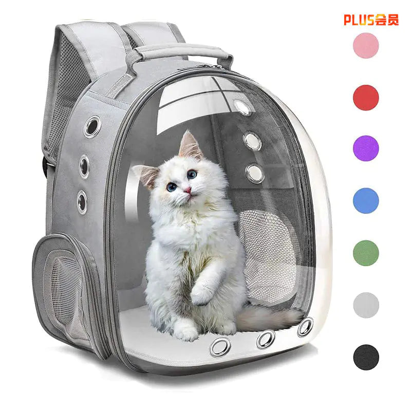 Transparent Cat Backpack