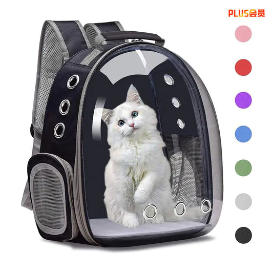 Transparent Cat Backpack