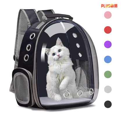 Transparent Cat Backpack